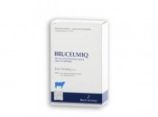 Brucelmiq