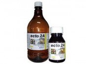 Ecto 2 A plus