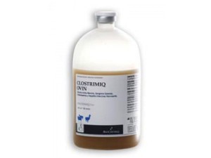 Clostrimiq Ovin