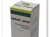 Celovet Prost 