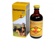 Gentamicina