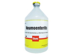 Neumoenteritis