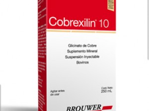 Cobrexilin 10 