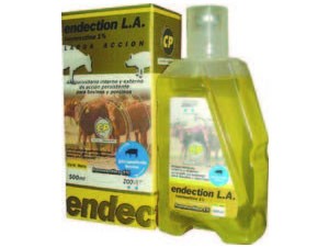 Endection LA