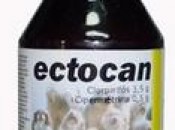 Ectocan