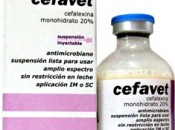 Cefavet x 50 ml