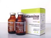 Ketamina Zoovet x 100ml